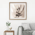 Lilium No.5 - Signed Edition Art Print